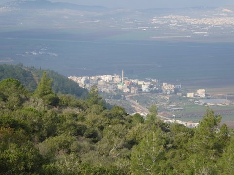 P1110952