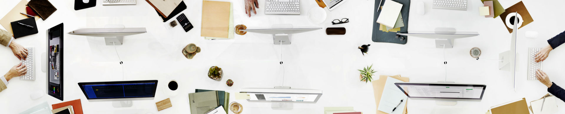 משרות התמחות